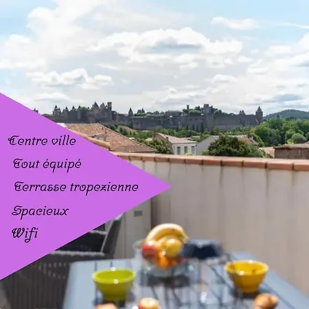 La Majestueuse Cite Apartment Carcassonne